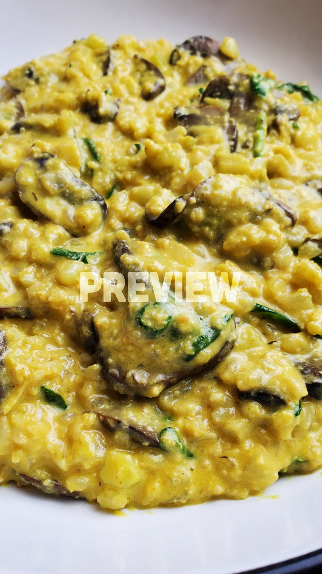 Vegan Cookbook (DIGITAL)