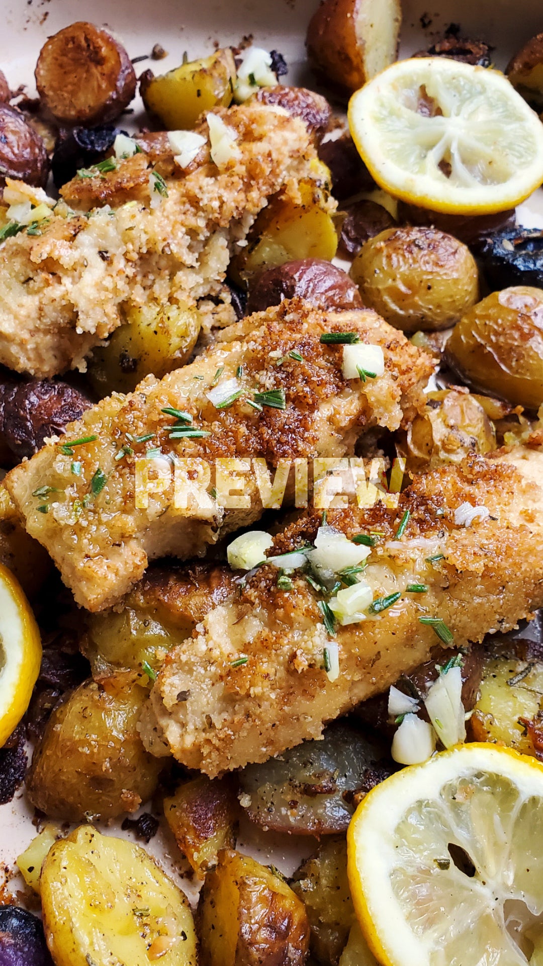 Vegan Cookbook (DIGITAL)