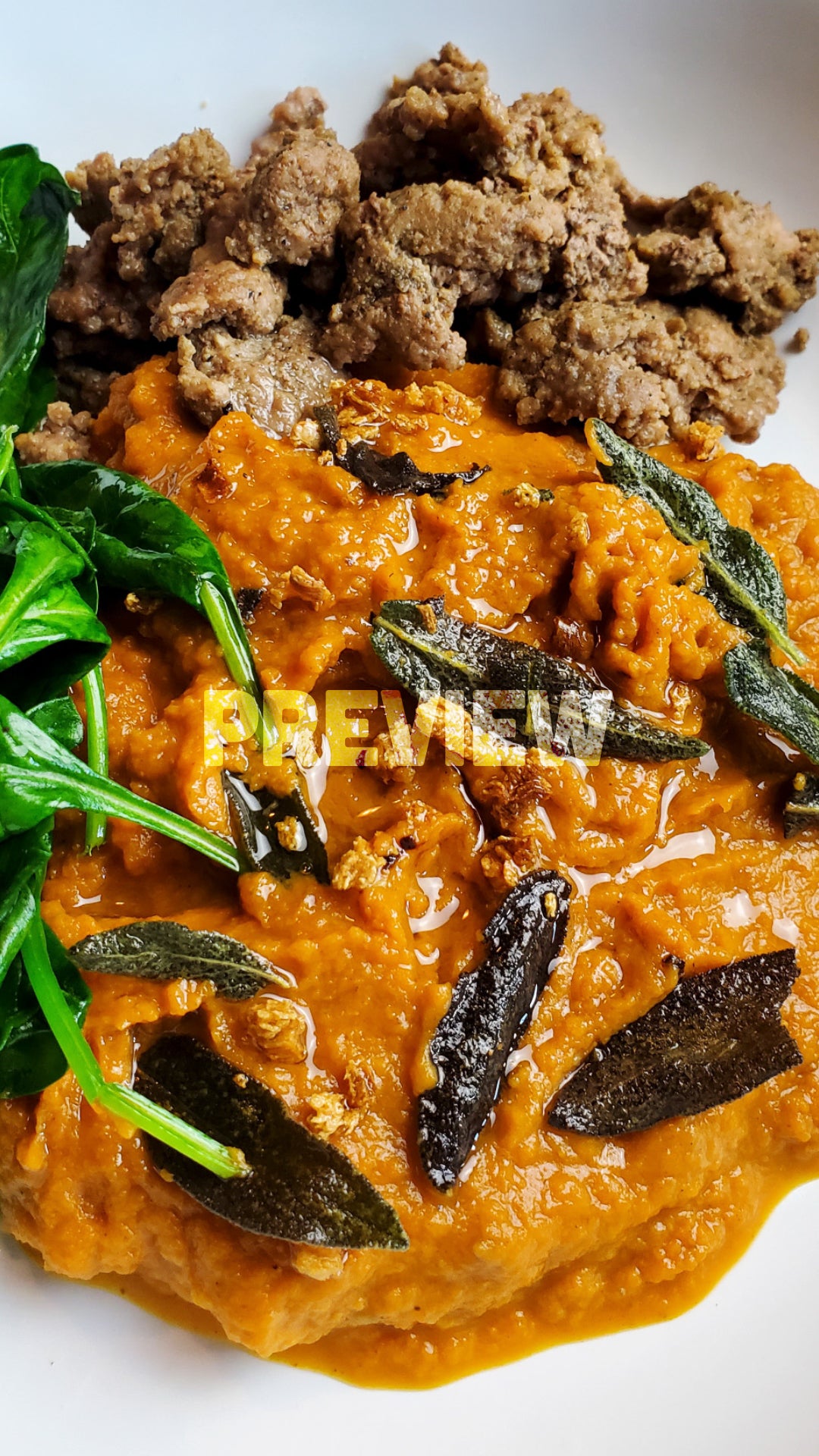 Omnivore Cookbook (DIGITAL)